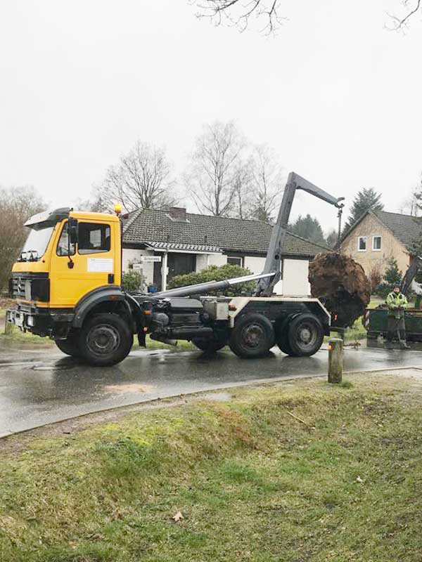 Containerdienst durch unseren Garten- und Landschaftsbau